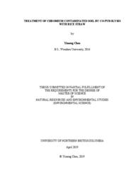 Treatment of chromium contaminated soil by co-pyrolysis with rice straw