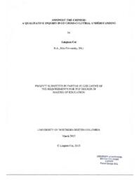Amongst the Chinese: a qualitative inquiry into cross-cultural understanding
