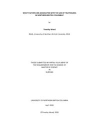 What factors are associated with the use of teletrauma in northern British Columbia?