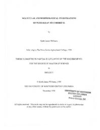 Molecular and morphological investigations of Pezizalean mycorrhizae