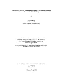 Remediation of Salt- and Petroleum Hydrocarbon- Contaminated Soils using Ultrasound and Soil Washing.