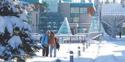 Snowy Campus