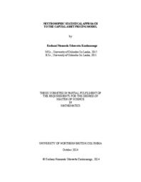 Neutrosophic statistical approach to the capital asset pricing model
