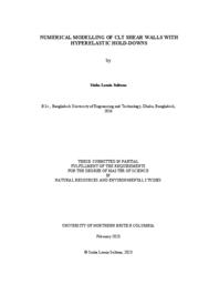 Numerical modelling of CLT shear walls with hyperelastic hold-downs