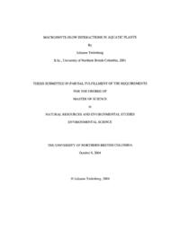 Macrophyte-flow interactions in aquatic plants.