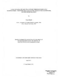 Tackling healthcare challenges through innovative technologies: Northern Health systems integration framework and recommendations