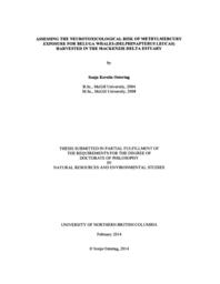 Assessing the neurotoxicological risk of methylmercury exposure for beluga whales (delphinapterus leucas) harvested in the Mackenzie Delta Estuary.