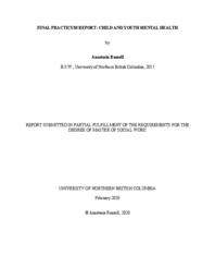Final practicum report
