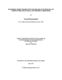 Registered nurses’ perspectives towards use of technology on nursing workload in rural and northern communities