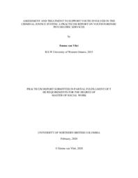 Assessment and treatment to support youth involved in the criminal justice system: a practicum report on youth forensic psychiatric services