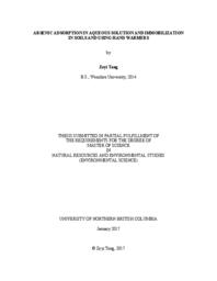Arsenic adsorption in aqueous solution and immobilization in soils and using hand warmers