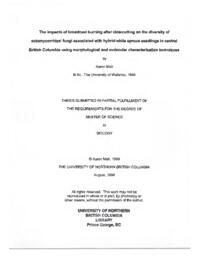 The impacts of broadcast burning after clearcutting on the diversity of ectomycorrhizal fungi associated with hybrid white spruce seedlings in central British Columbia using morphological and molecular characterization techniques