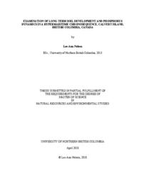 Examination of long-term soil development and phosphorus dynamics in a hypermaritime chronosequence, Calvert Island, British Columbia, Canada