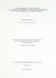 Oil, environment, and insecurity: a case study of oil production-related environmental insecurity in Nigeria's Niger Delta region