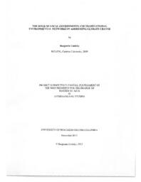 The role of local governments and transnational environmental networks in addressing climate change
