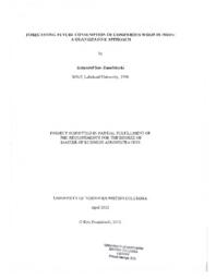 Graduate Research Projects