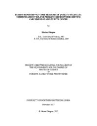Patient reported-outcome measures of quality of life as a communication tool for primary care providers serving caregivers of adults with cancer