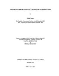 Identifying at-risk youth: strategies to help them succeed