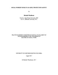 Social worker's role in an adult protection agency
