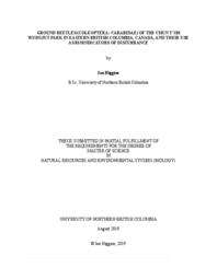 Ground beetles (coleoptera: carabidae) of the Chun T'oh Whudujut Park in eastern British Columbia, Canada, and their use as bioindicators of disturbance