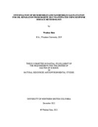 Investigation of microbubbles and nanobubbles gas flotation for oil separation from marine oily wastewater using response surface methodology