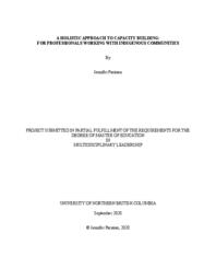 A holistic approach to capacity building