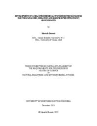 Development of an electrochemical system for the manganese electrocatalytic oxidation and hardness precipitation in groundwater