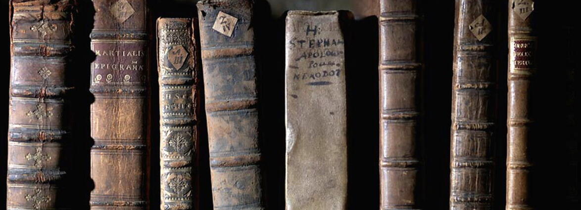 Collection Representative Image